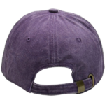 gorra vintage uva atras