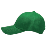 Gorra de Lona Verde - adentro