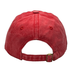 gorra vintage roja niños - atras